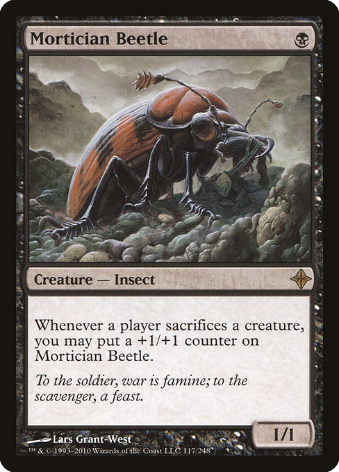 Roe 117 mortician beetle